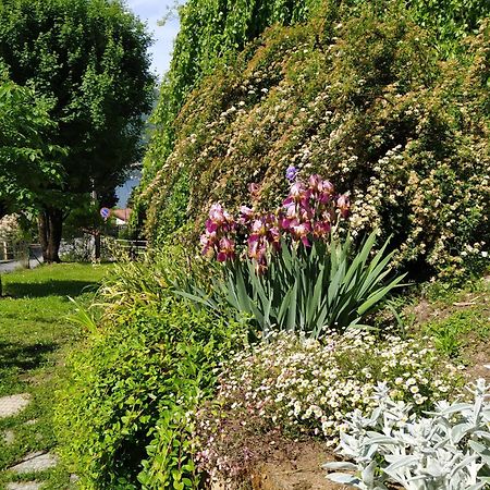 Il Bogno B&B Lierna Zewnętrze zdjęcie