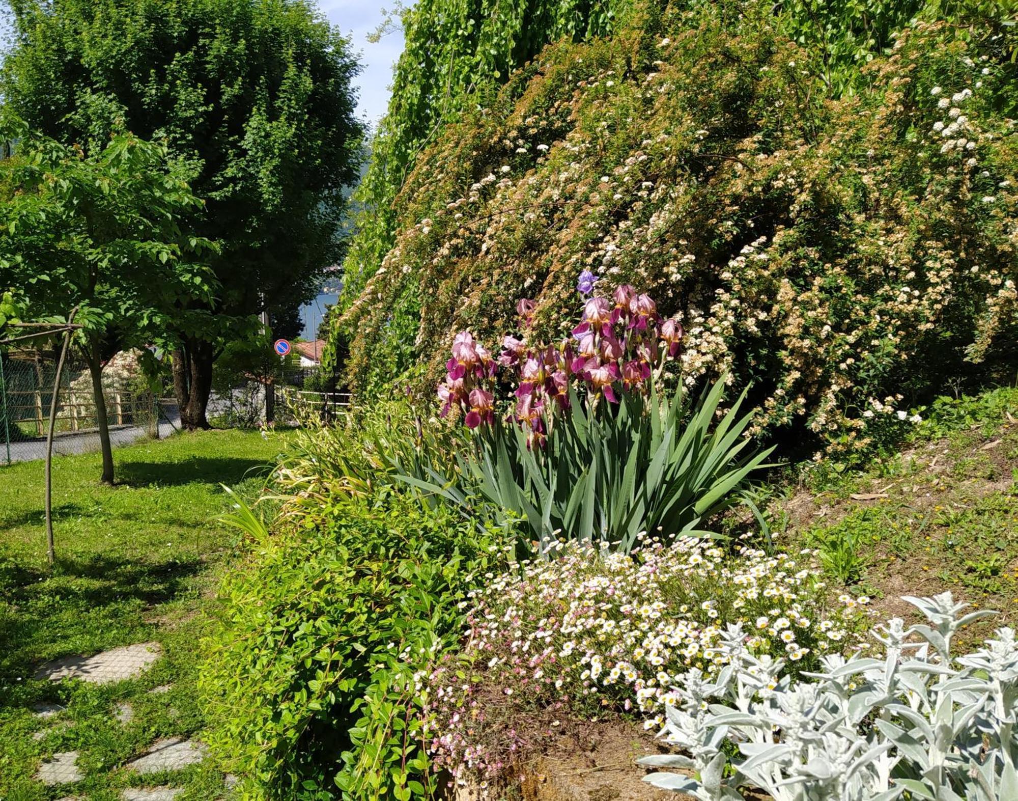 Il Bogno B&B Lierna Zewnętrze zdjęcie