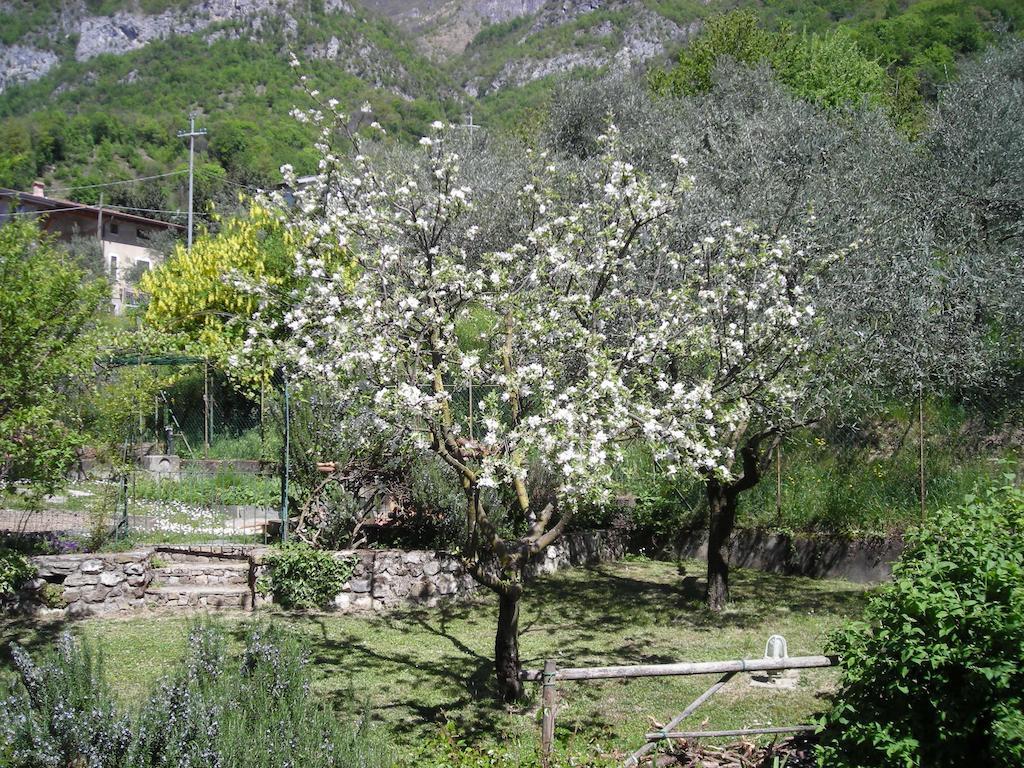 Il Bogno B&B Lierna Zewnętrze zdjęcie