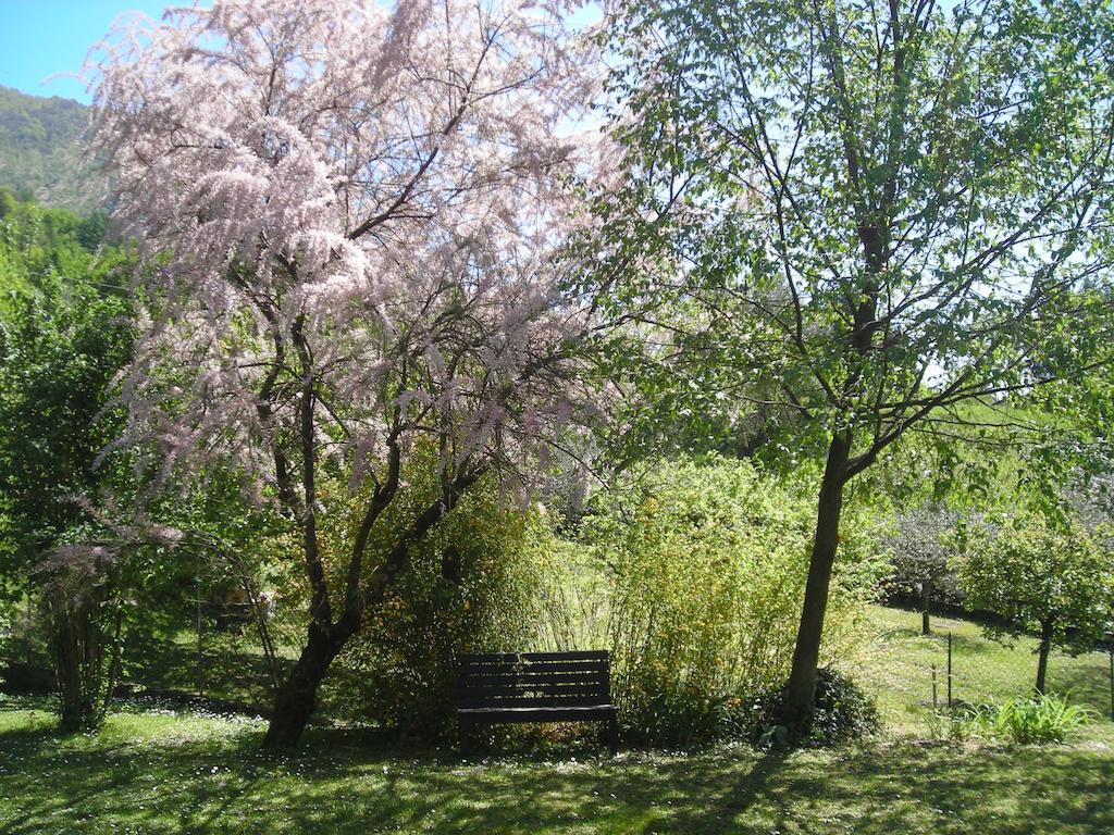 Il Bogno B&B Lierna Zewnętrze zdjęcie